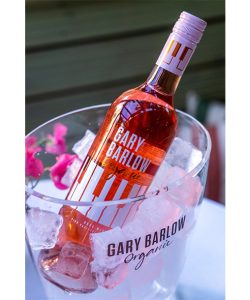 Gary Barlow ice bucket with Rosé